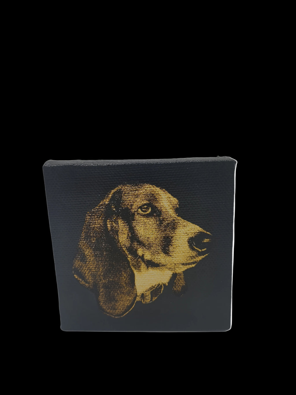Custom Laser Engraved Pet Portrait Canvas