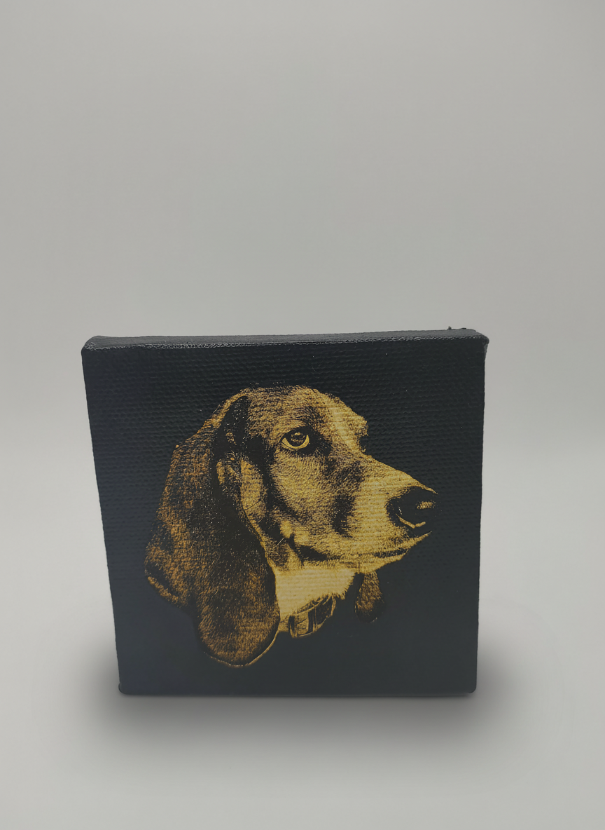 Custom Laser Engraved Pet Portrait Canvas